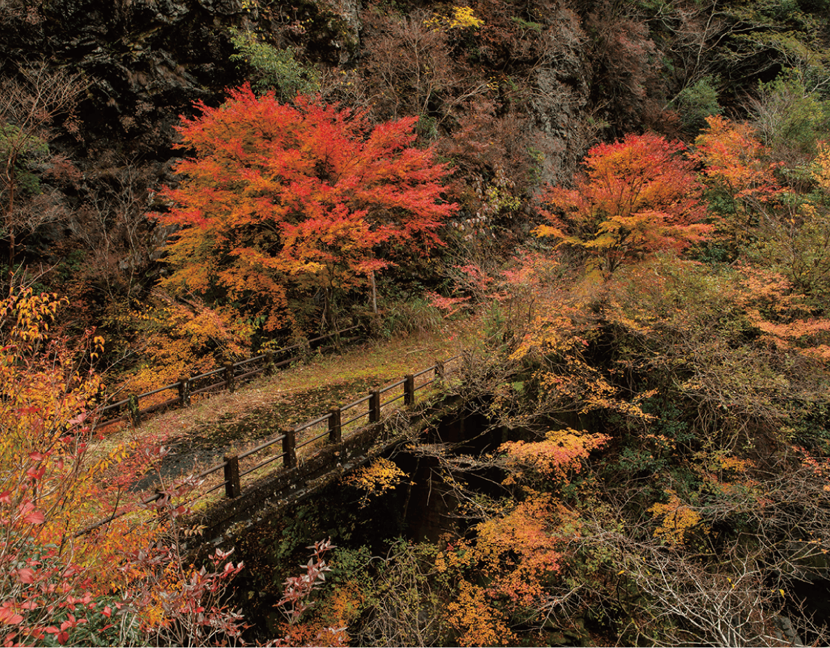 ここどこ宮崎